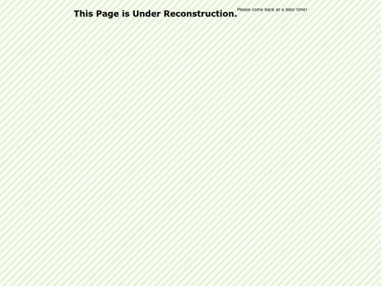 reconstruction screenshot
