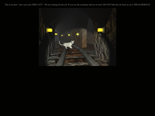 email/emails/spam-cat screenshot