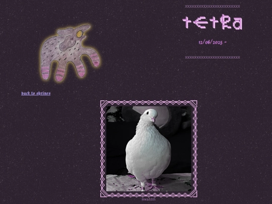 tetra screenshot