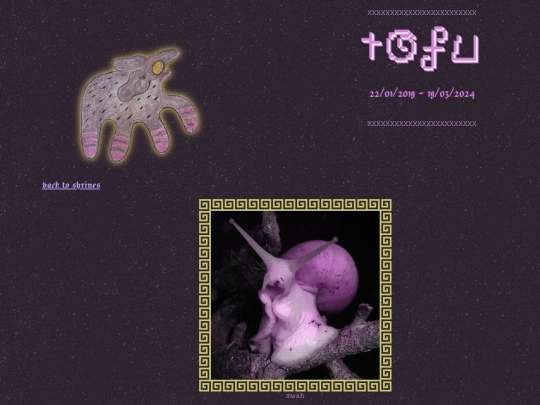 tofu screenshot