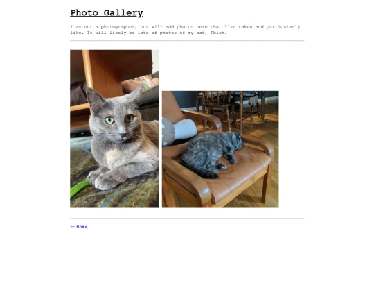 photos screenshot