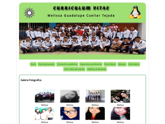 curriculum/galeria screenshot