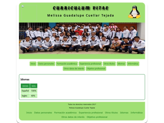 curriculum/idiomas screenshot