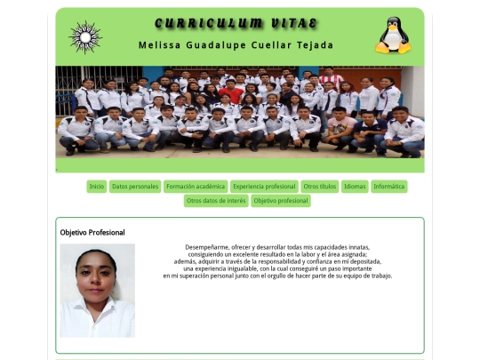 curriculum/objetivo screenshot