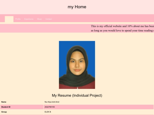 homepage screenshot