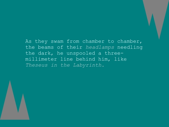 interactivemedia/project3.1/swam screenshot