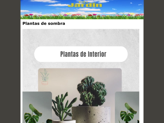 pagina4 screenshot