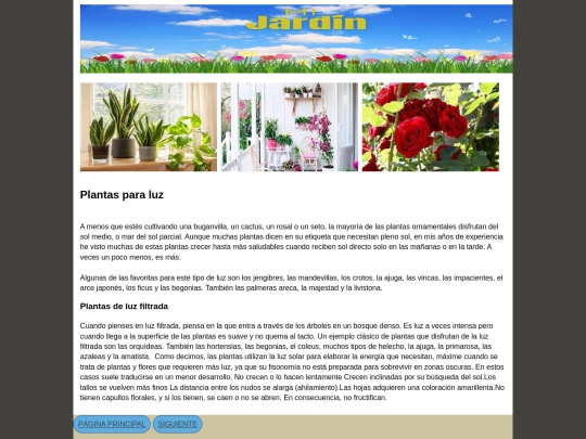 pagina5 screenshot