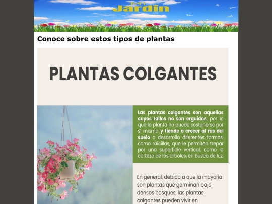 pagina6 screenshot