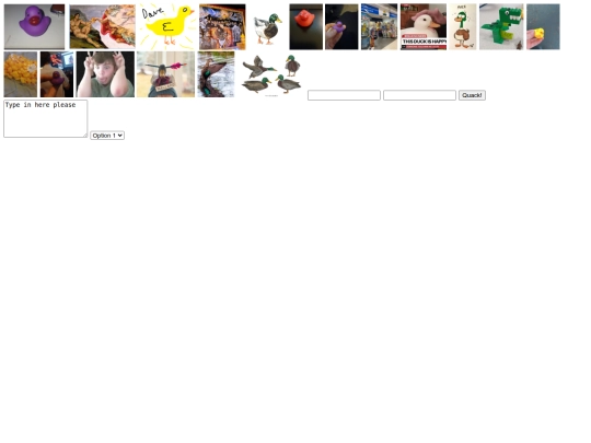 images screenshot