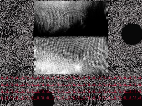 website/xirtam screenshot