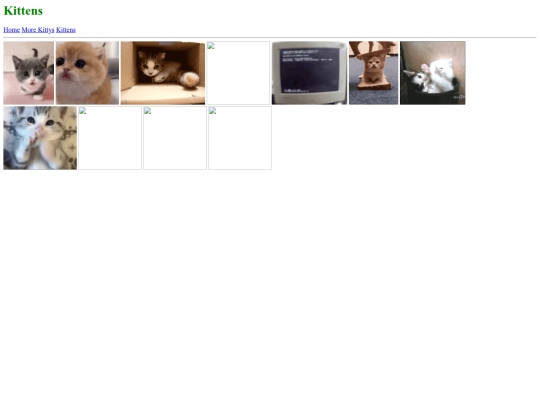 kittens screenshot