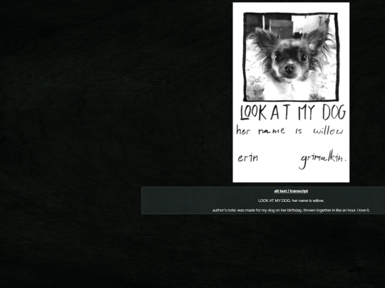 zines/willow/1 screenshot