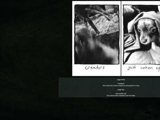 zines/willow/3 screenshot