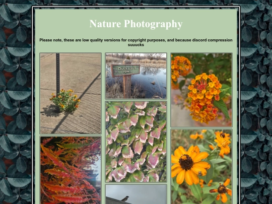 naturephotog screenshot