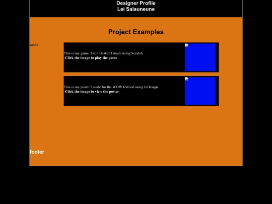 Designer Profile/ProjectExamples screenshot