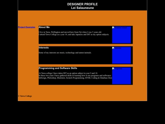 Designer Profile/designerProfile screenshot
