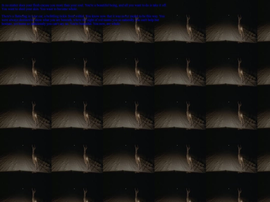 inner screenshot