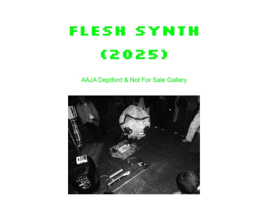 FLESH screenshot