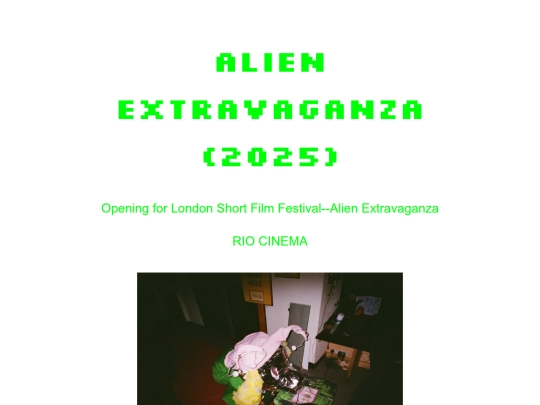 lsff1 screenshot