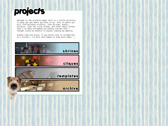projects/projects screenshot