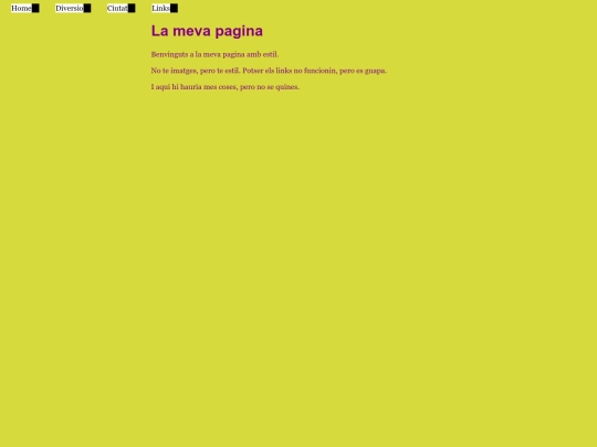 cssexamen/test1 screenshot