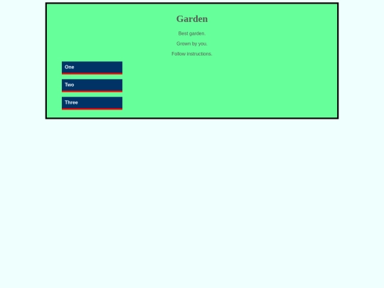 cssexamen/test2 screenshot