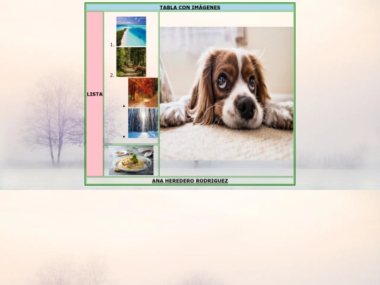 P/Pp screenshot