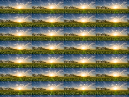 Pract10C/practica7 screenshot