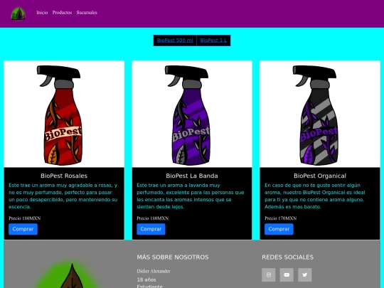 paginas/productos/productos 2/productos_2 screenshot