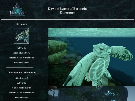 turtle screenshot