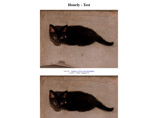 2/kitten/cat1 screenshot