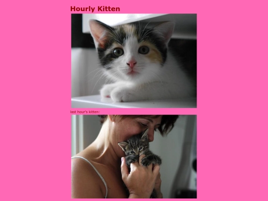 2/kitten/cat2 screenshot