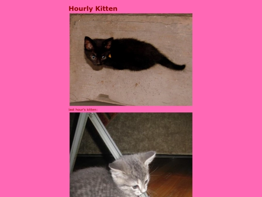 2/kitten/cat3 screenshot