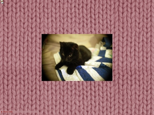 2/kitten/yarn screenshot