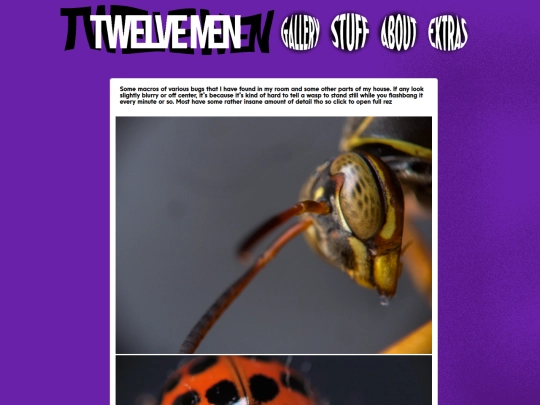 2/photologs/bugMacros screenshot
