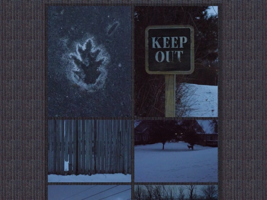 2/photologs/walk screenshot