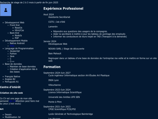 Curriculum_Vitae screenshot