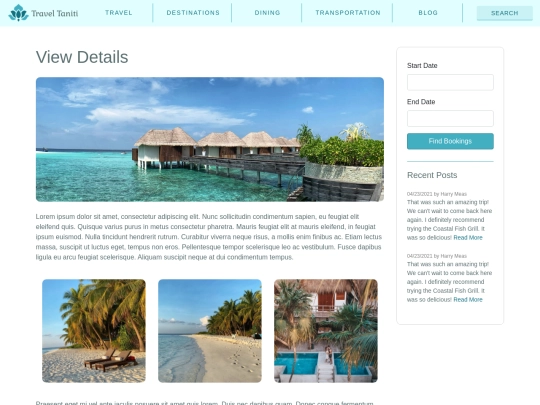 taniti_prototype/view screenshot