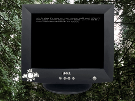 computer screenshot