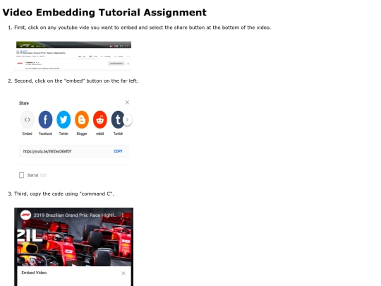 Videoembedding screenshot