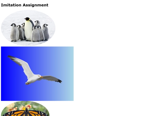 imitation screenshot