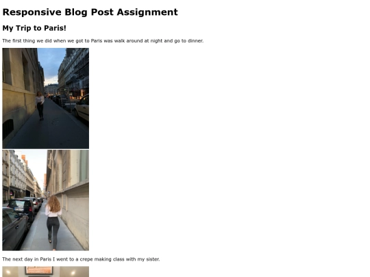 responsiveassignment screenshot