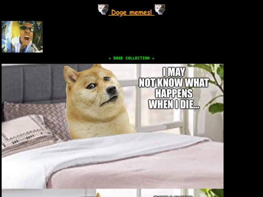 doge screenshot