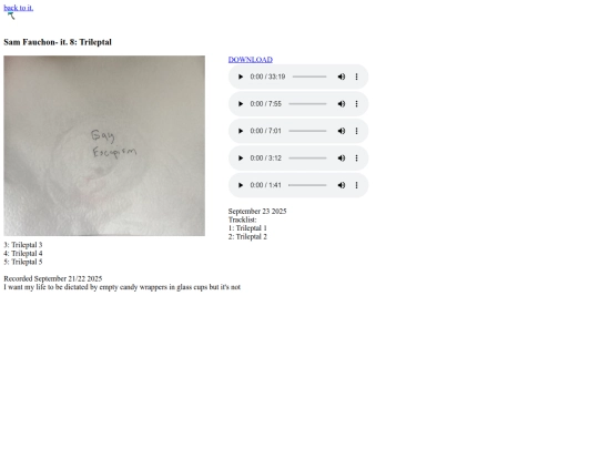 it8 screenshot