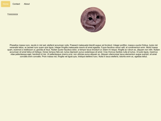 pill nav screenshot