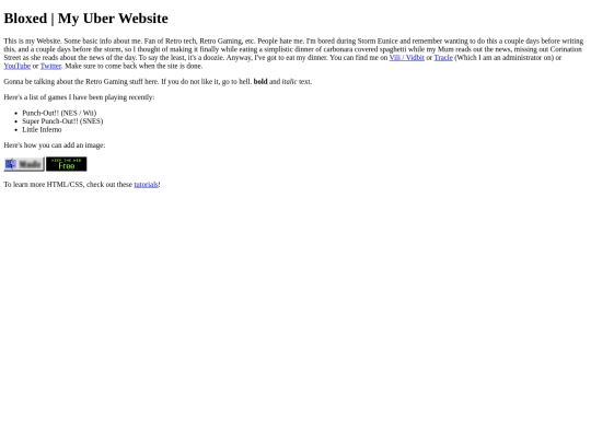 oldsite screenshot