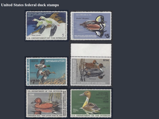 collections/stamps/fauna/ducks screenshot