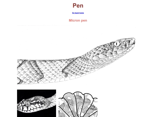 gallery/pen screenshot