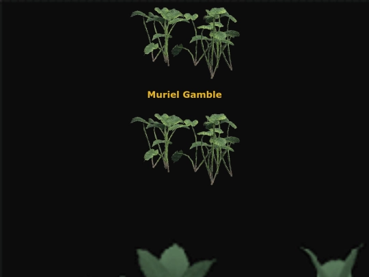 muriel screenshot